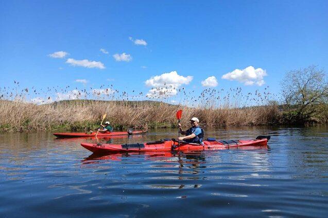 Zwei Personen paddeln in roten Kajaks auf einem ruhigen Gew&auml;sser, umgeben von Schilf und blauen Himmel.