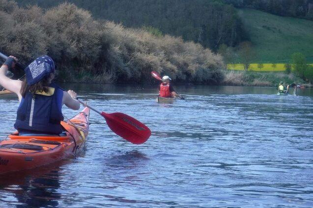 Drei Kajakfahrer paddeln auf einem ruhigen Gew&auml;sser, umgeben von gr&uuml;nen Ufern und sanften H&uuml;geln.