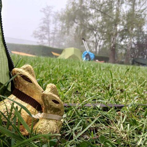 Zwei goldene Schokoladenosterhasen stehen auf gr&uuml;nem Gras vor einem Zelt im nebligen Freiluftbereich.
