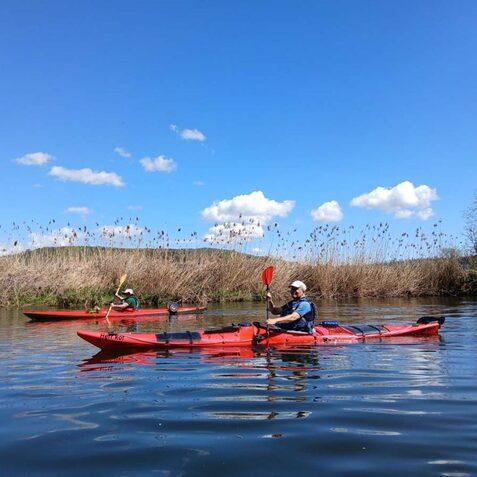 Zwei Personen paddeln in roten Kajaks auf einem ruhigen Gew&auml;sser, umgeben von Schilf und blauen Himmel.
