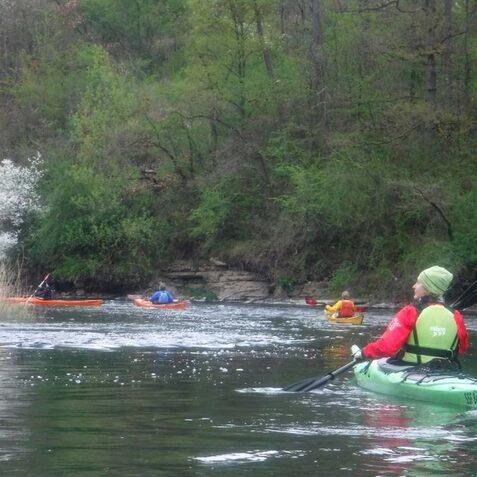 Vier Kajakfahrer paddeln auf einem ruhigen Fluss zwischen &uuml;ppigen, gr&uuml;nen Ufern und bl&uuml;henden Str&auml;uchern.