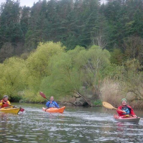 Drei Personen in Kajaks paddeln auf einem ruhigen Gew&auml;sser, umgeben von gr&uuml;nen B&auml;umen und Str&auml;uchern.