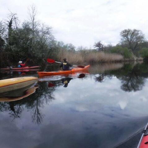 Zwei Kajakfahrer paddeln auf einem ruhigen Gew&auml;sser, umgeben von B&auml;umen und Schilf, mit spiegelndem Wasser.