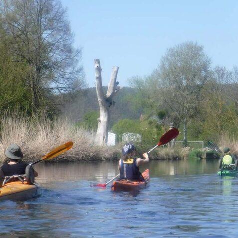 Drei Kajakfahrer paddeln auf einem ruhigen Gew&auml;sser, umgeben von B&auml;umen und Str&auml;uchern an einem sonnigen Tag.