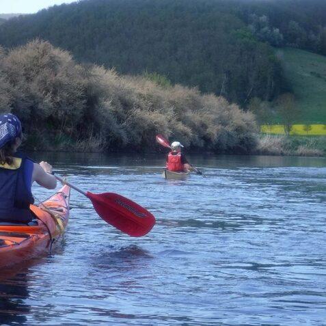 Drei Kajakfahrer paddeln auf einem ruhigen Gew&auml;sser, umgeben von gr&uuml;nen Ufern und sanften H&uuml;geln.