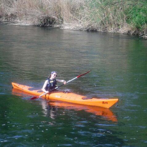 Person paddelt in einem orangefarbenen Kajak auf ruhigem Wasser, umgeben von Uferbewuchs.