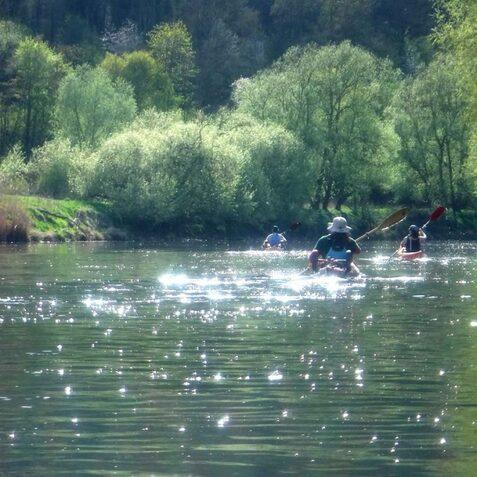 Drei Kajakfahrer paddeln auf einem glitzernden Gew&auml;sser, umgeben von gr&uuml;nen B&auml;umen und Ufervegetation.