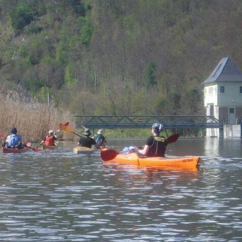 Gruppe von Kajakfahrern auf ruhigem Wasser mit einem Aussichtsturm und Ufervegetation im Hintergrund.