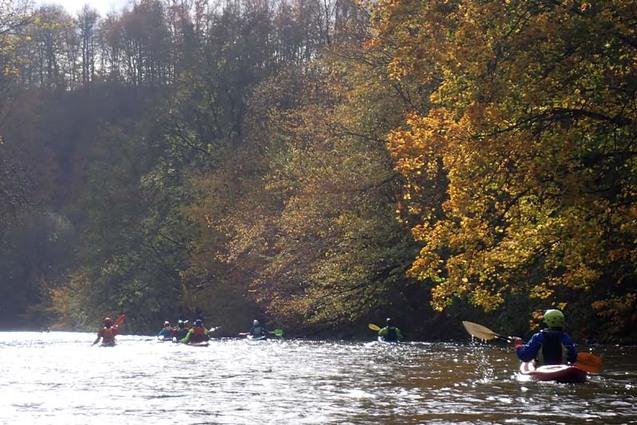 Gruppe von Kajakfahrern auf einem ruhigen Fluss, umgeben von buntem Herbstlaub.