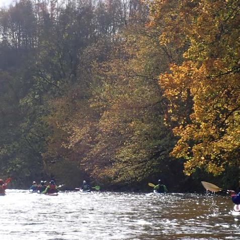 Gruppe von Kajakfahrern auf einem ruhigen Fluss, umgeben von buntem Herbstlaub.