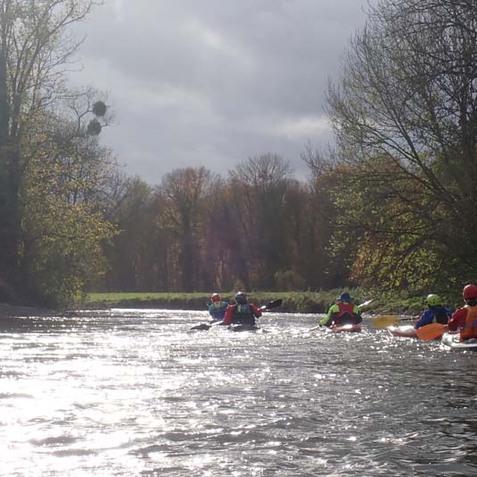 Gruppe von Kajakfahrern paddelt auf einem schimmernden Fluss, umgeben von B&auml;umen und herbstlicher Landschaft.