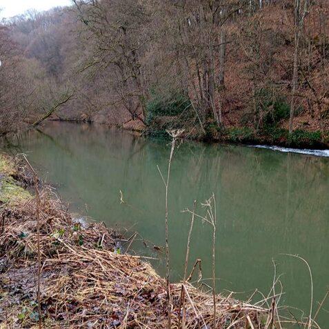 Warnschild f&uuml;r Wildtiere am Flussufer, mit tr&uuml;bem Wasser und kahlen B&auml;umen im Hintergrund. Schlammpfad daneben.