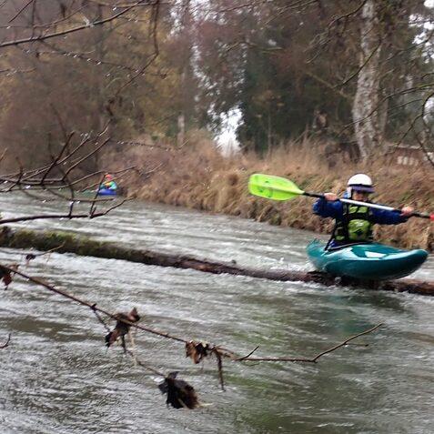 Kajakfahrer paddelt auf einem Fluss, w&auml;hrend er &uuml;ber einen Baumstamm navigiert, umgeben von einer bewaldeten Uferlandschaft.