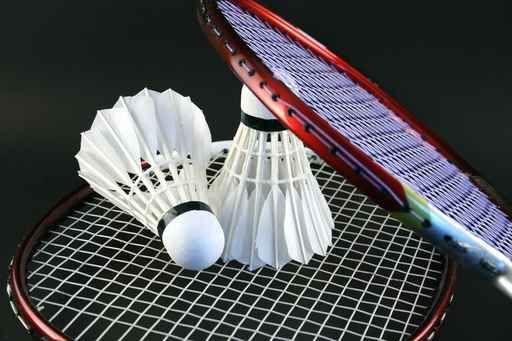 Nahaufnahme eines Badmintonschl&auml;gers mit zwei Federb&auml;llen auf einem Netz.