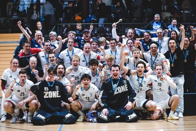 Gruppenszene mit jubelnden Handballspielern in Trikots, die stolz Medaillen tragen und den Sieg feiern.