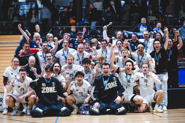 Gruppenszene mit jubelnden Handballspielern in Trikots, die stolz Medaillen tragen und den Sieg feiern.