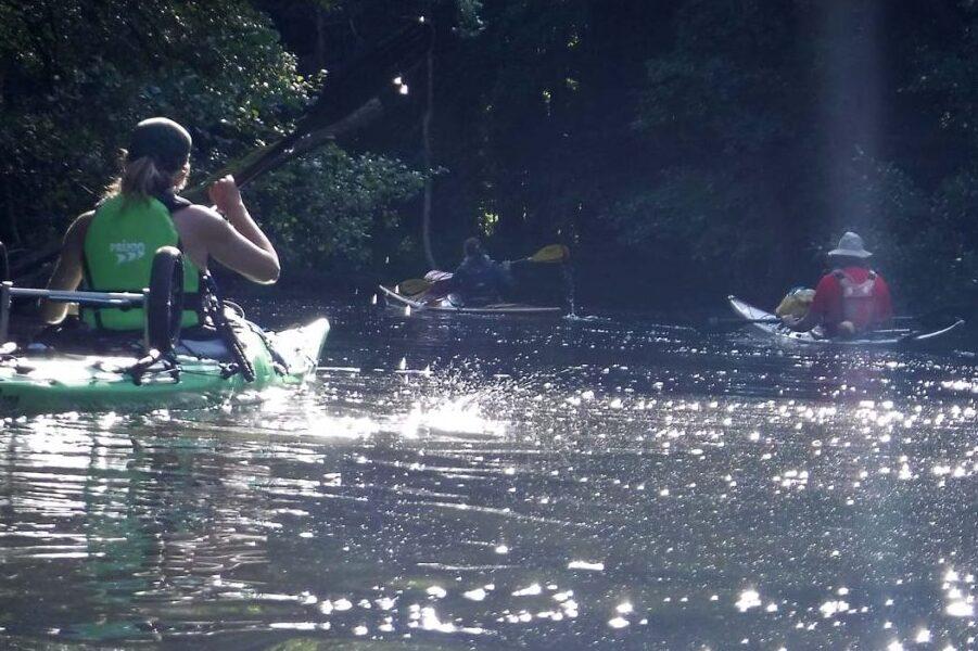 Klickende Kajakfahrer paddeln auf einem glitzernden Gew&auml;sser in einem bewaldeten Umfeld.