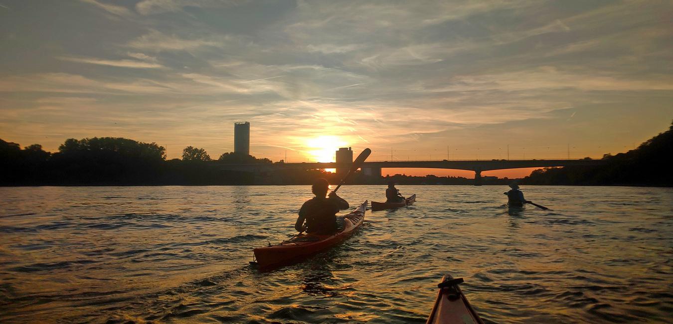 Kanuten auf dem Rhein vor der Silhouette von Bonn fahren der untergehenden Sonne entgegen.