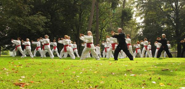 Gruppe von Karateka in wei&szlig;er Uniform mit roten G&uuml;rteln &uuml;bt auf einer gr&uuml;nen Wiese unter B&auml;umen.