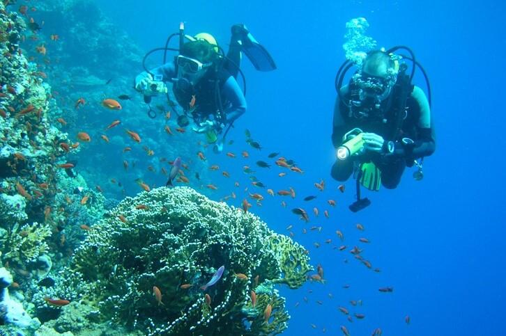 Zwei Taucher erkunden ein Korallenriff, umgeben von zahlreichen bunten Fischen in klarem, blauem Wasser.