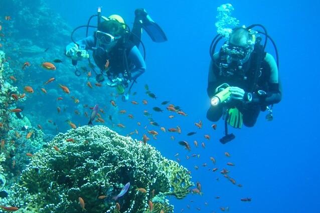 Zwei Taucher erkunden ein Korallenriff, umgeben von zahlreichen bunten Fischen in klarem, blauem Wasser.