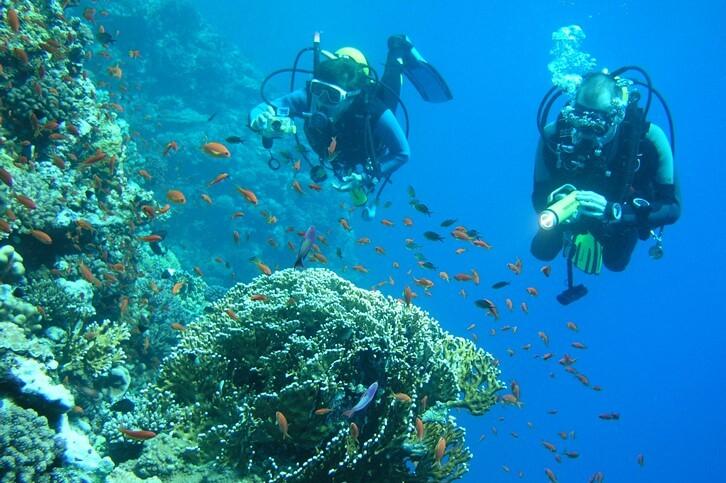 Zwei Taucher erkunden ein Korallenriff, umgeben von zahlreichen bunten Fischen in klarem, blauem Wasser.