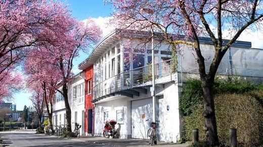 Bl&uuml;hende Kirschb&auml;ume s&auml;umen eine Stra&szlig;e mit einem modernen Geb&auml;ude und Fahrr&auml;dern im Vordergrund.