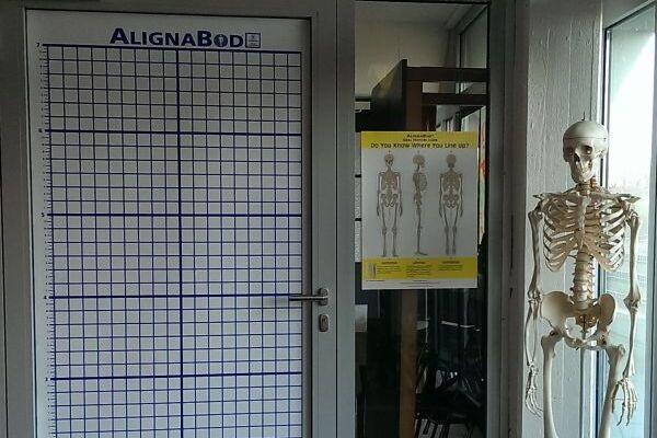 T&uuml;r mit Raster und Plakat sowie anatomisches Skelett daneben in einer Eingangssituation.