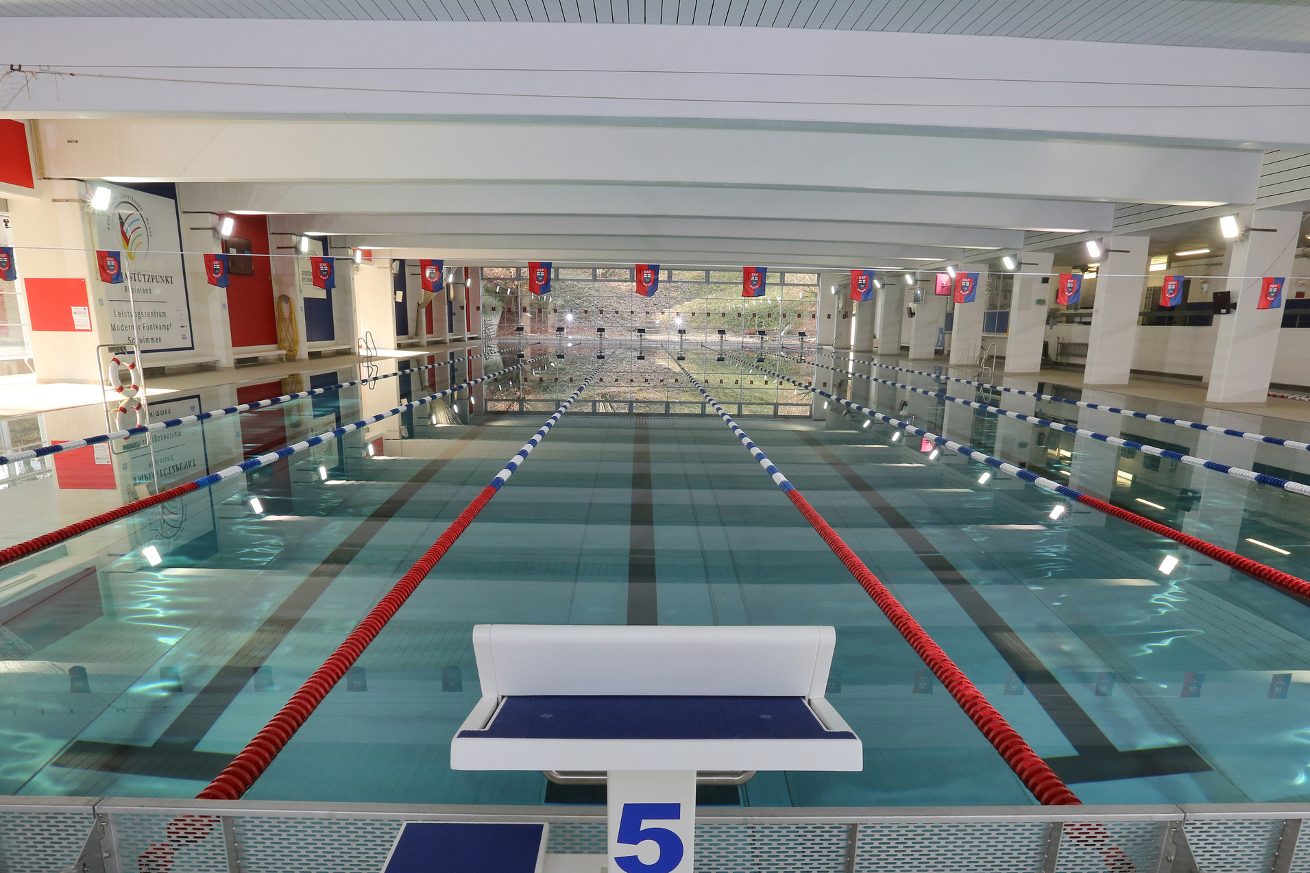 Blick auf ein Schwimmbecken mit mehreren Bahnen und einer Startbl&ouml;cke in einem hellen, modernen Hallenbad.