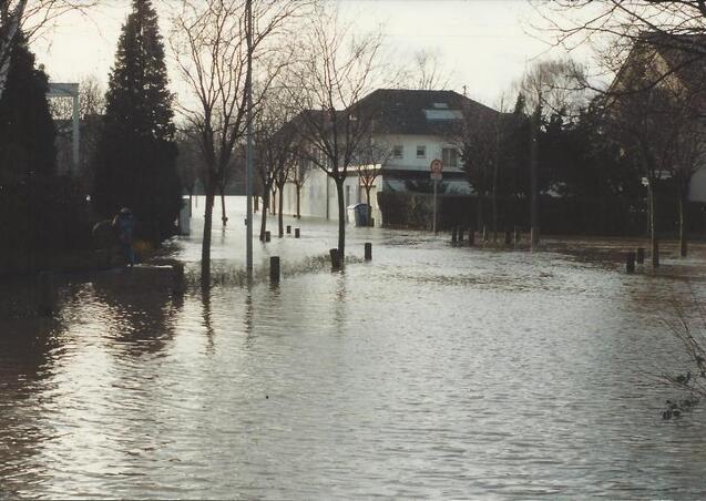 &Uuml;berschwemmte Stra&szlig;e mit Wasser bis zu den Stra&szlig;enlaternen, B&auml;ume und H&auml;user im Hintergrund, vereinzelt Menschen zu sehen.