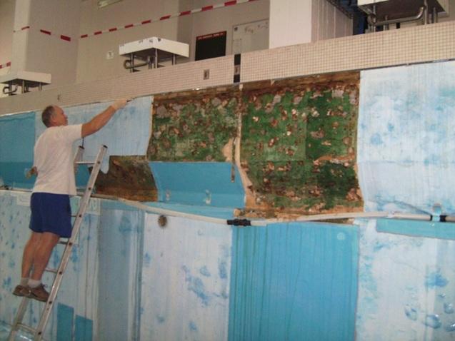 Mann steht auf einer Leiter und erneuert die Wand eines Schwimmbeckens mit abbl&auml;tternder Farbe und sichtbarem Untergrund.